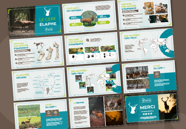 Affichage urbain Sentier d'Art