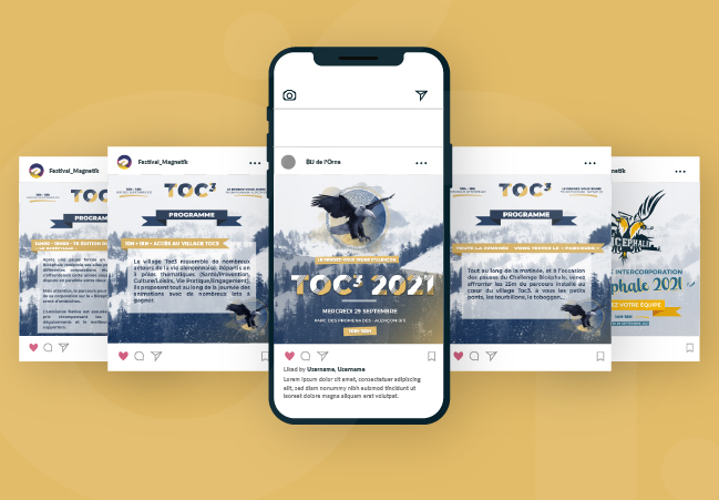 Reseaux sociaux TOC3