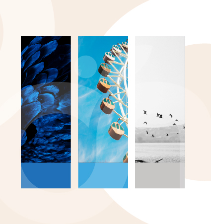 Couleurs Identité visuelle AQJ