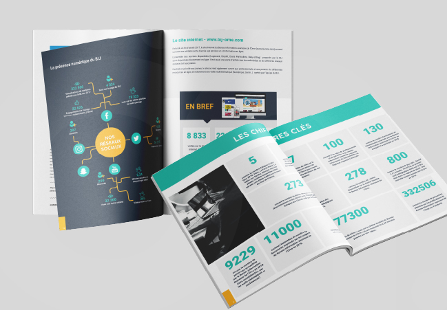 Rapport d'activité Identité visuelle BIJ Orne