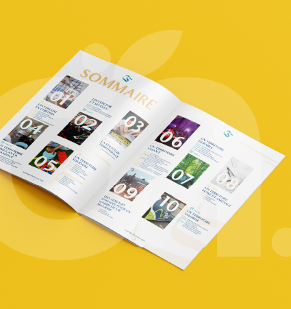 Rapport d'activité Refonte Identité visuel IBTN