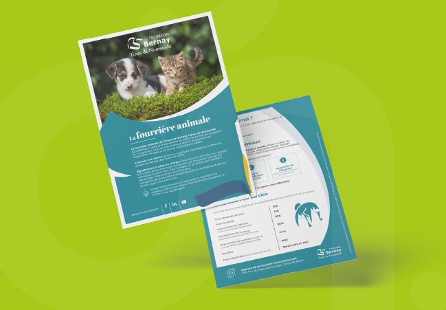 Flyer Refonte Identité visuel IBTN