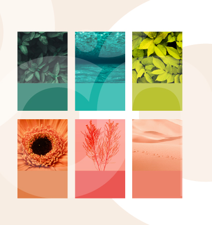 Couleurs Guide des mares