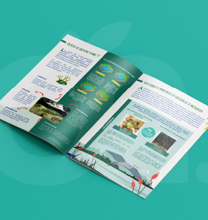 Brochure Guide des mares