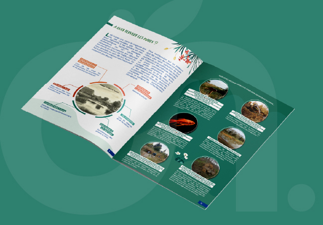 Brochure Guide des mares