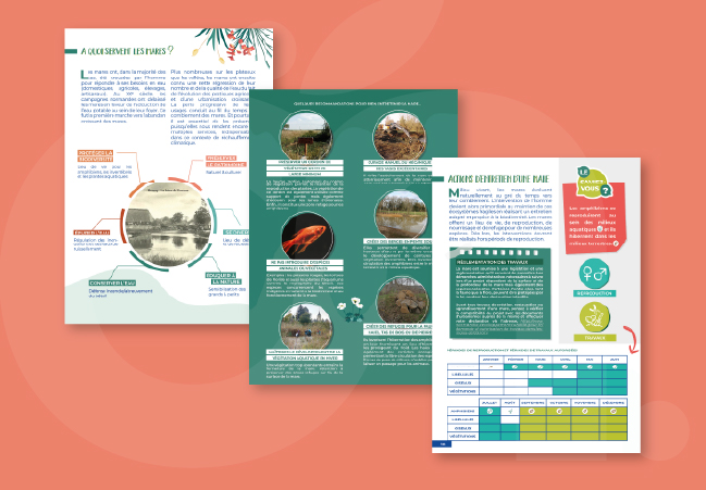 Brochure Guide des mares