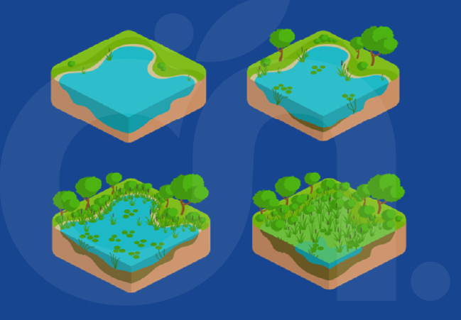 Illustrations Guide des mares 