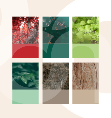 Couleurs Guide d'orientation